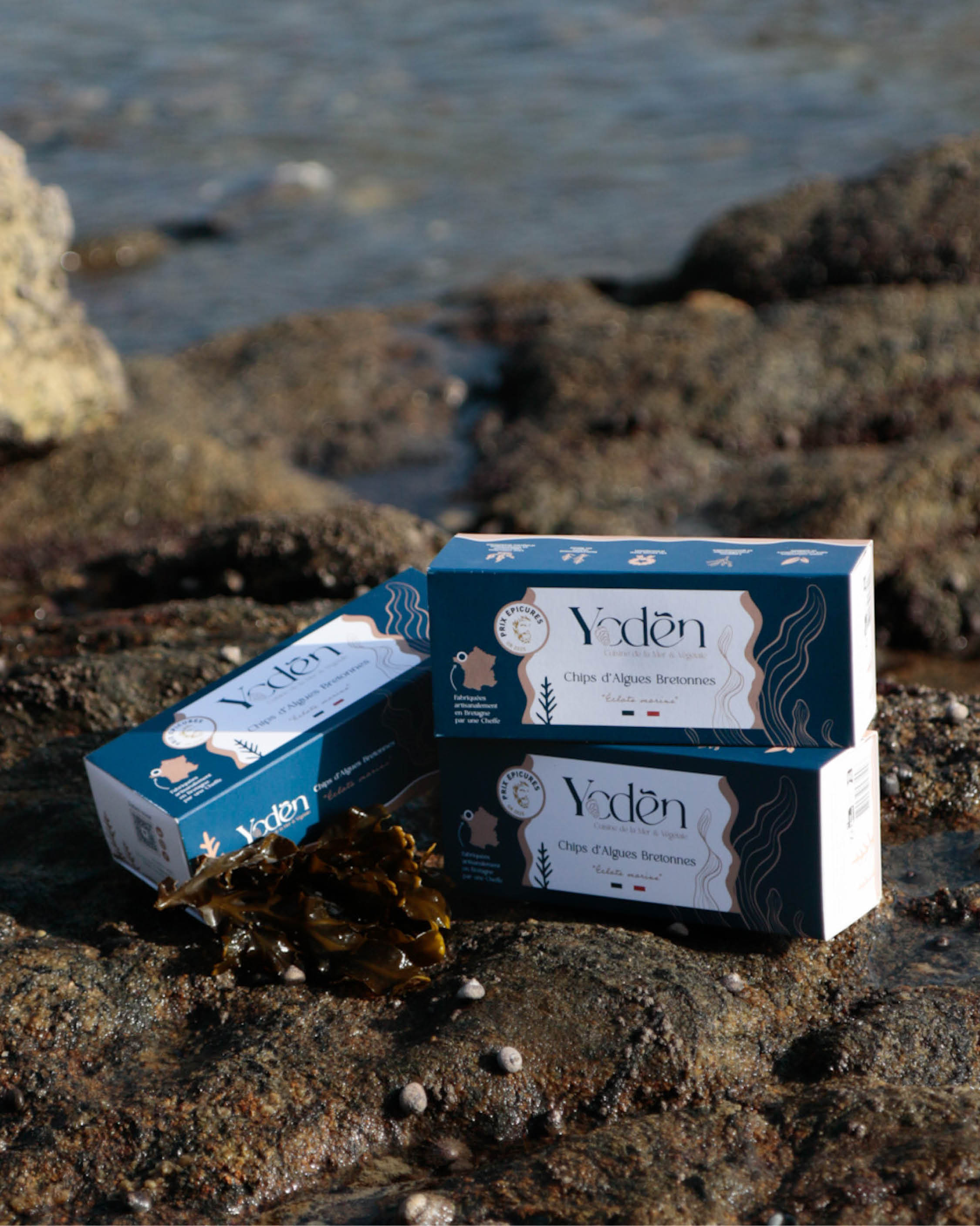 Lot de 3 Chips d’Algues Bretonnes