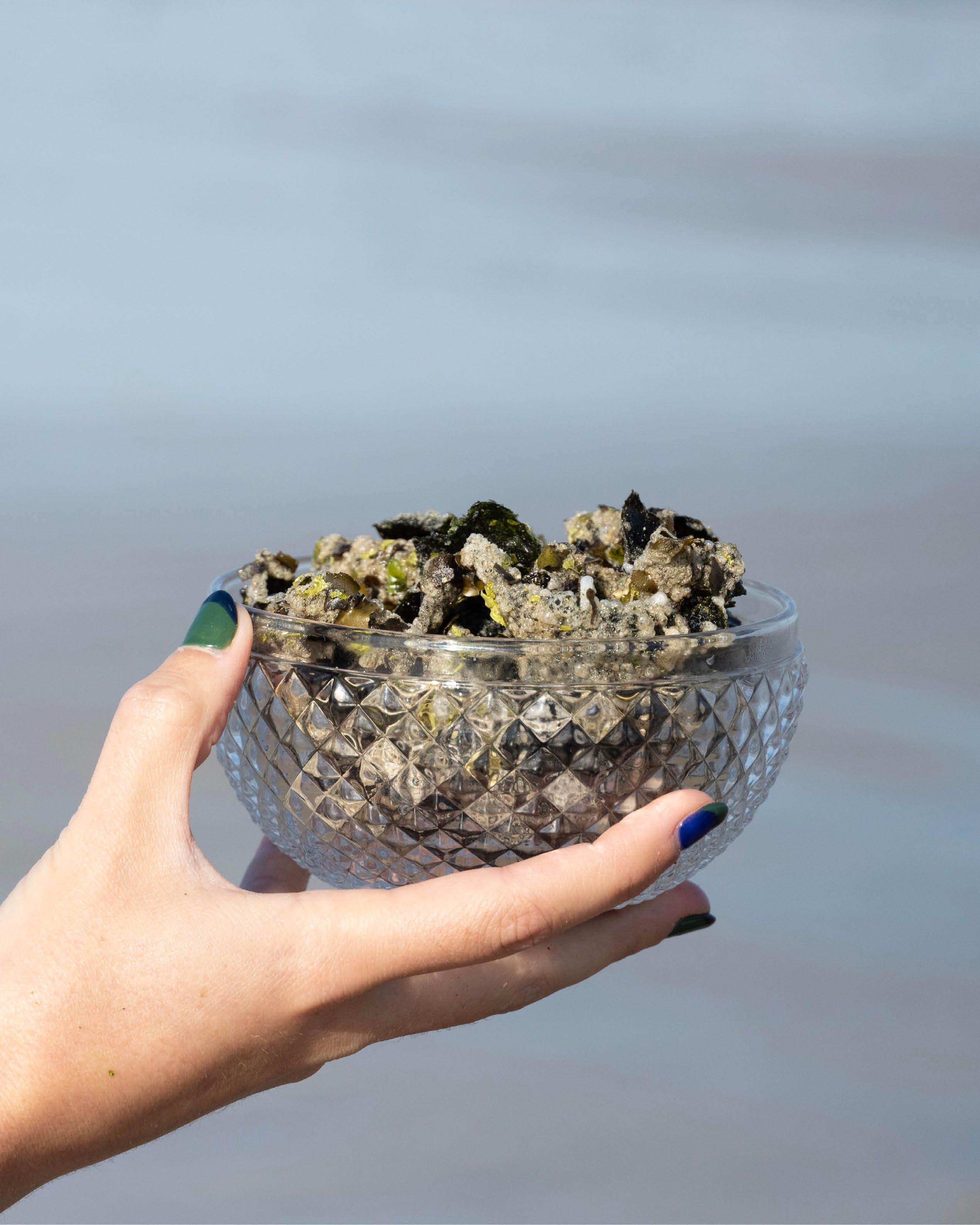 Lot de 3 Chips d’Algues Bretonnes